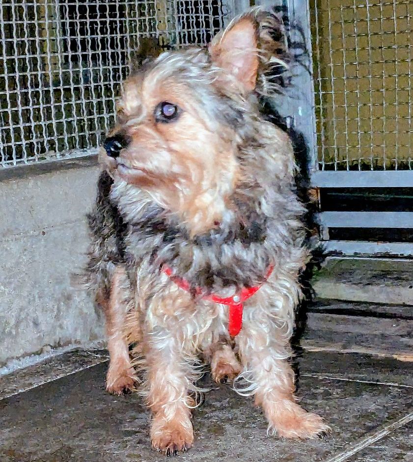 28382f5d-9203-43e4-bad5-f414523eab76~1