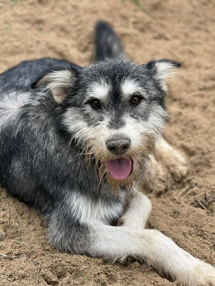 590052826_712127808604324_8593484246536052261_n