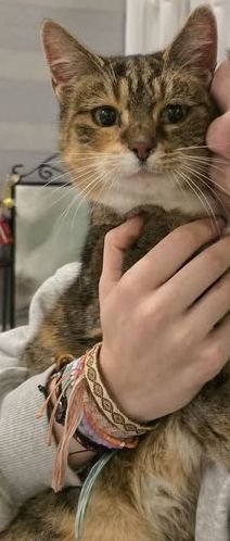 591735450_24937157399317079_5079386045284018393_n