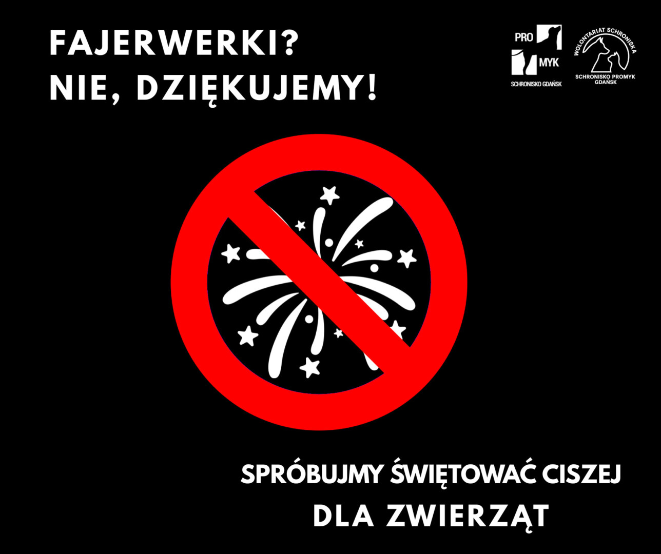 FAJERWERKI-4