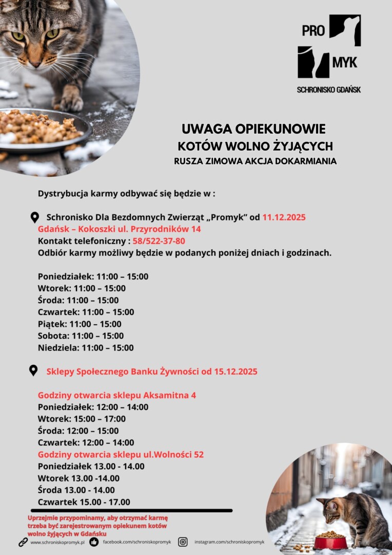 Messenger_creation_C5E421B1-FB2D-49C4-BFDB-C6ECE1CE5A54