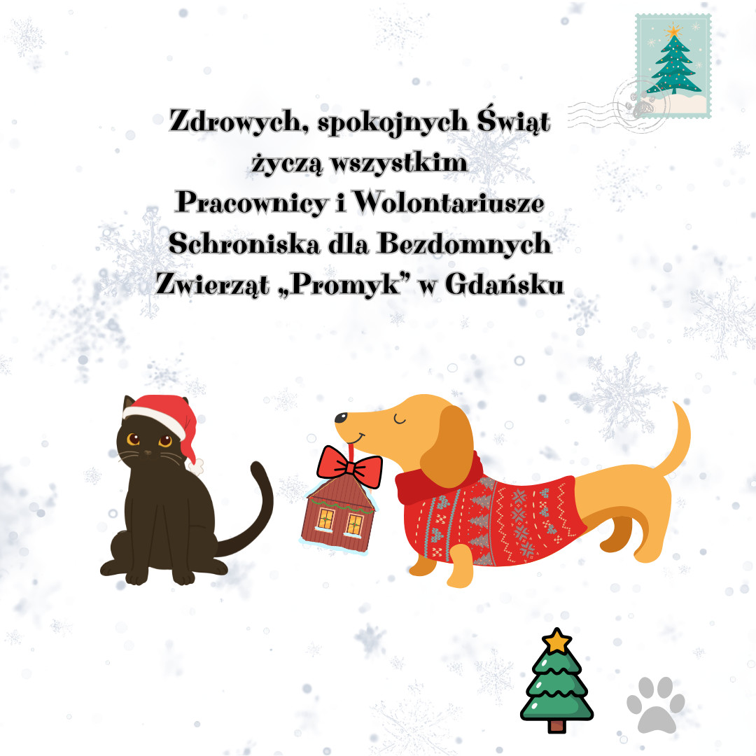 Projekt bez nazwy