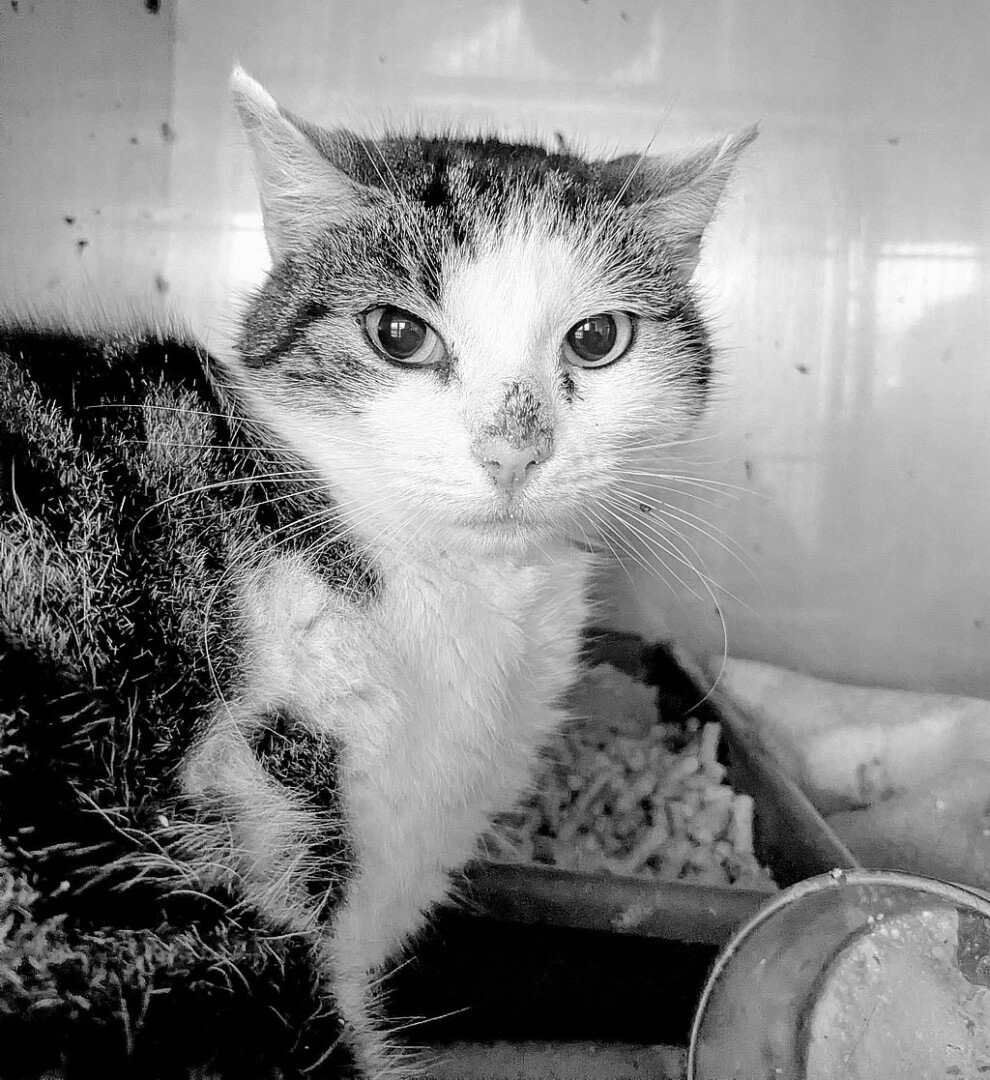 ae2d9d6e-63da-4683-aa5f-3b7bb7ce1fed1.jpg1111