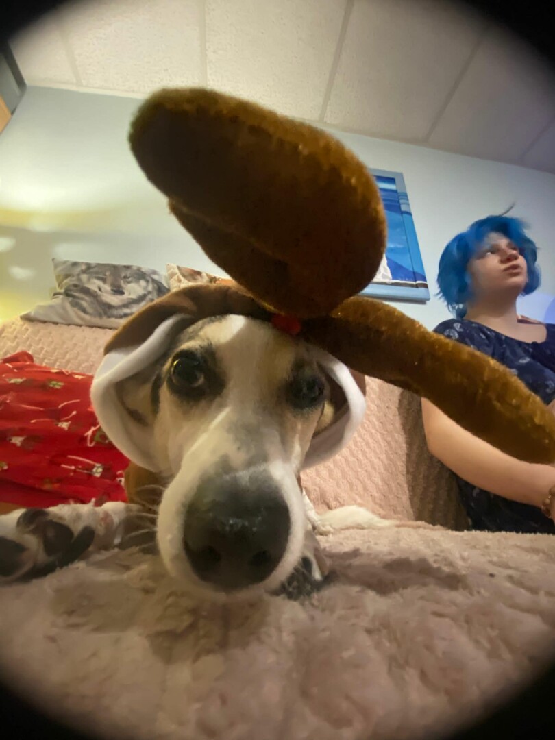 att.DRGRVqJd4R-7zZ8ZdCiKuMethjBjgA3ZyTipKqGvFvc