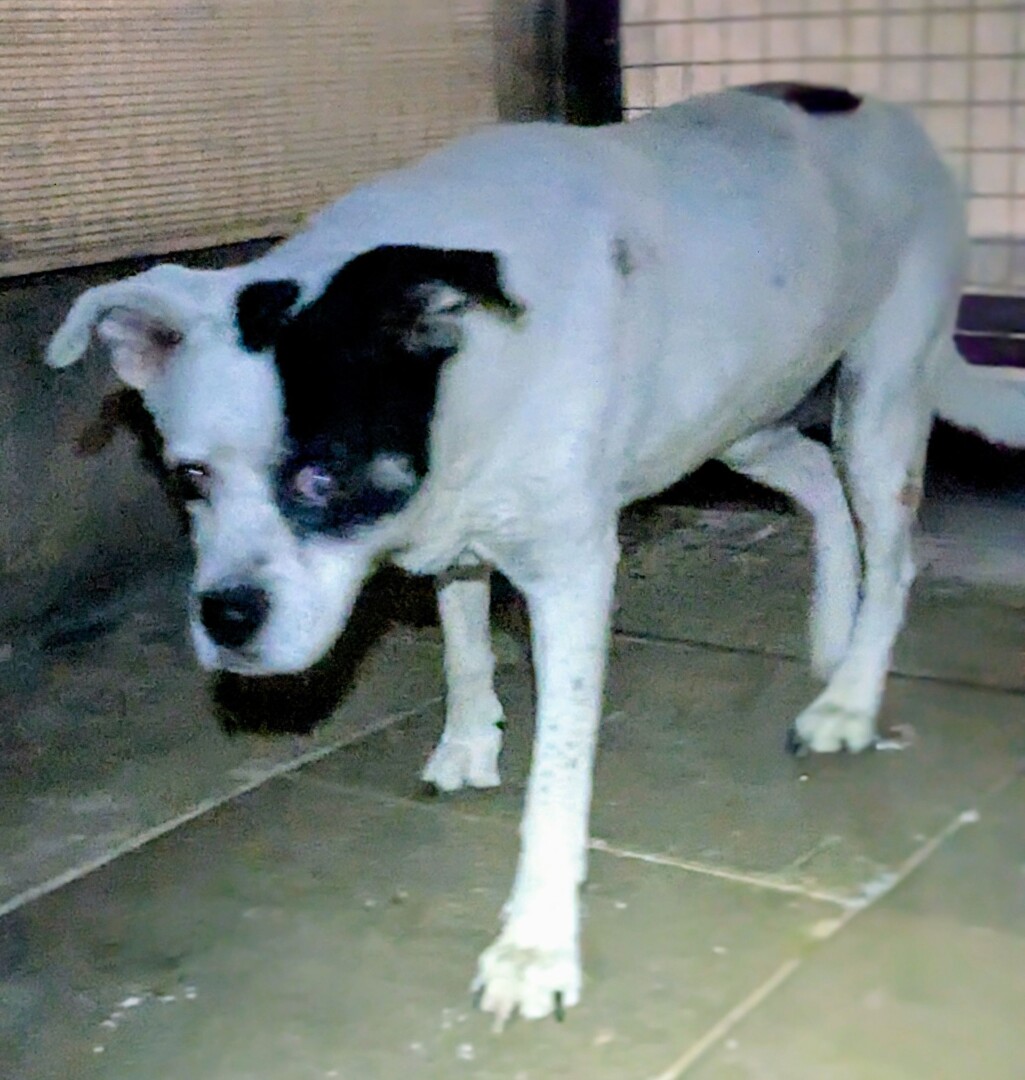 2f21a241-fc2f-435a-b271-87d476fc1585~1