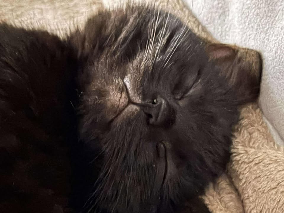 617607124_915343487721912_8021871854536084606_n