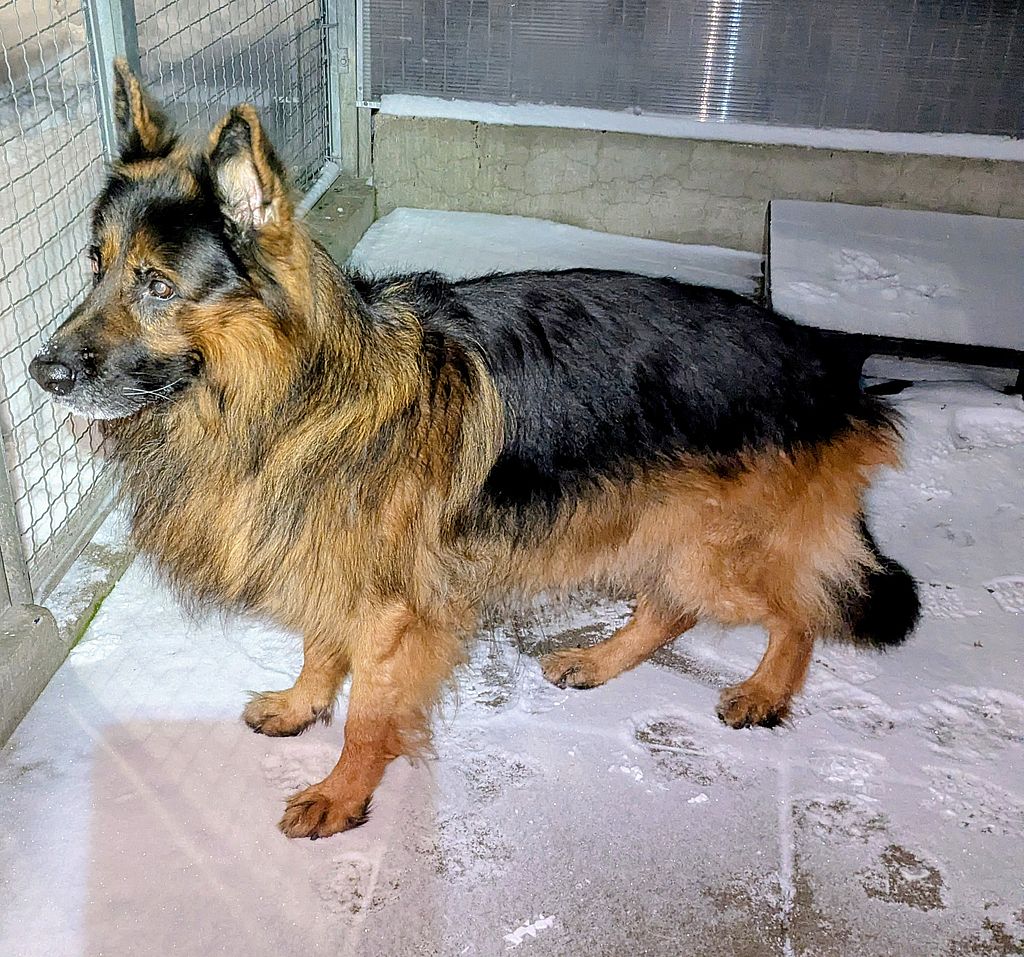 73ab3bfa-bbfb-4009-97a4-8e880660490a~1