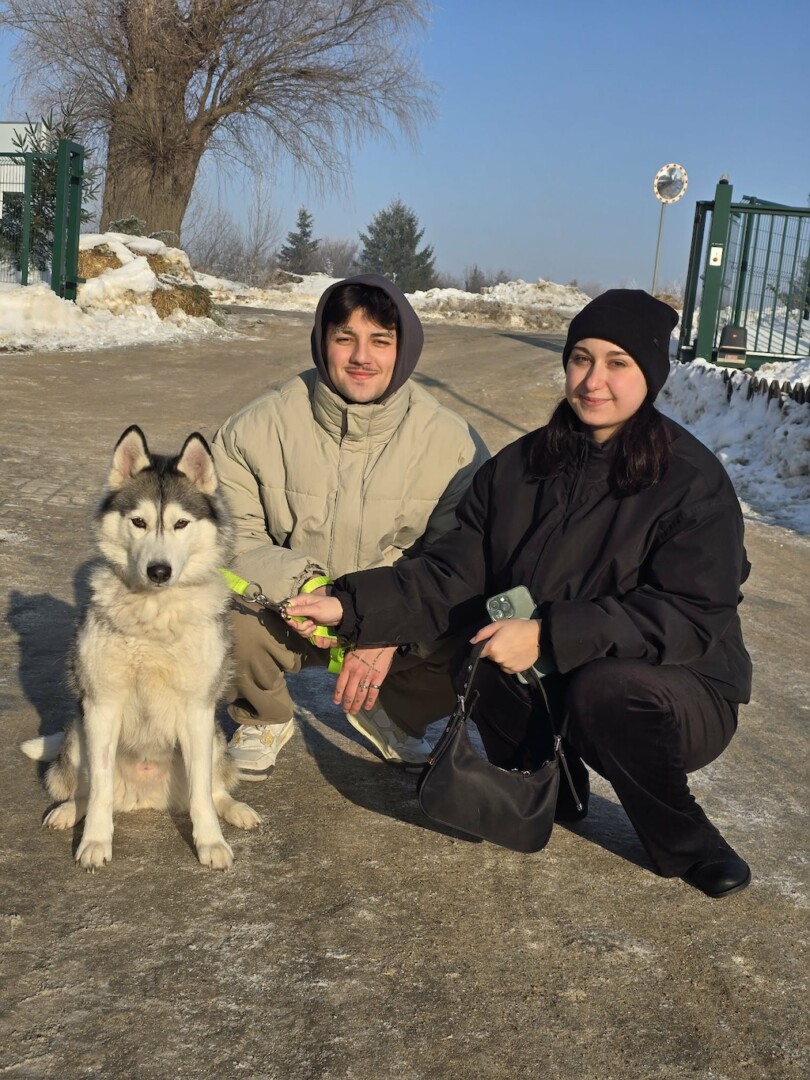 att.SzwUSTPe0CAM3jJpaEM-MVqU9mChXFckk6mRbsDgDNU