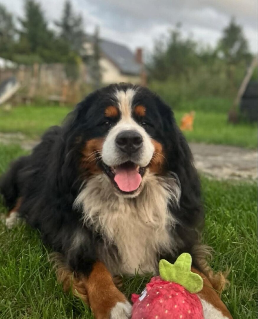 att.UaNHY-QHqa22cUITppQAZOBu-CcfrtgPMmsPu7UwP3I