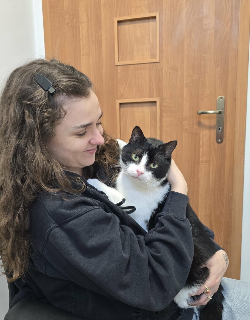 att.fkGIiePVwA9KOsnxHYLH--t_oKH2g9jPXxH0ByyqFYY