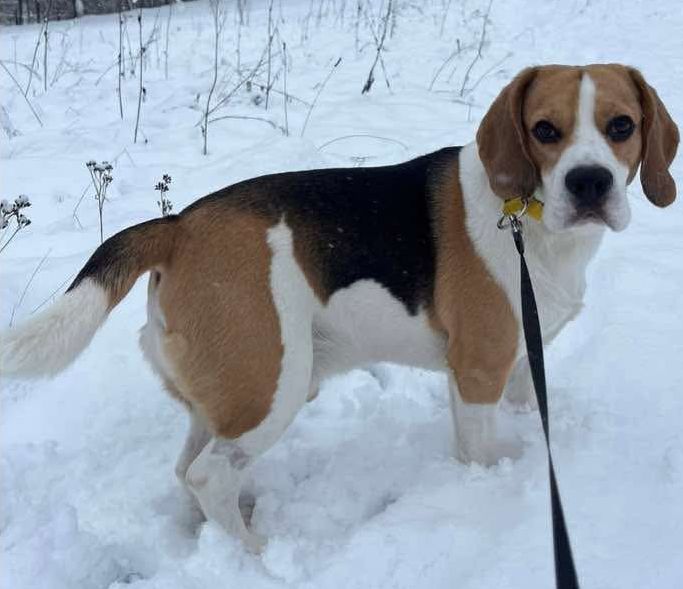 14bb00d2521758ebd8d3ac77a2422226