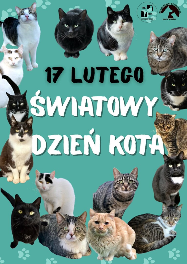 att.YxT_EUrGvq3U5O7TRhry7Ji_5xIjVpj2UczsnBJ7RqQ
