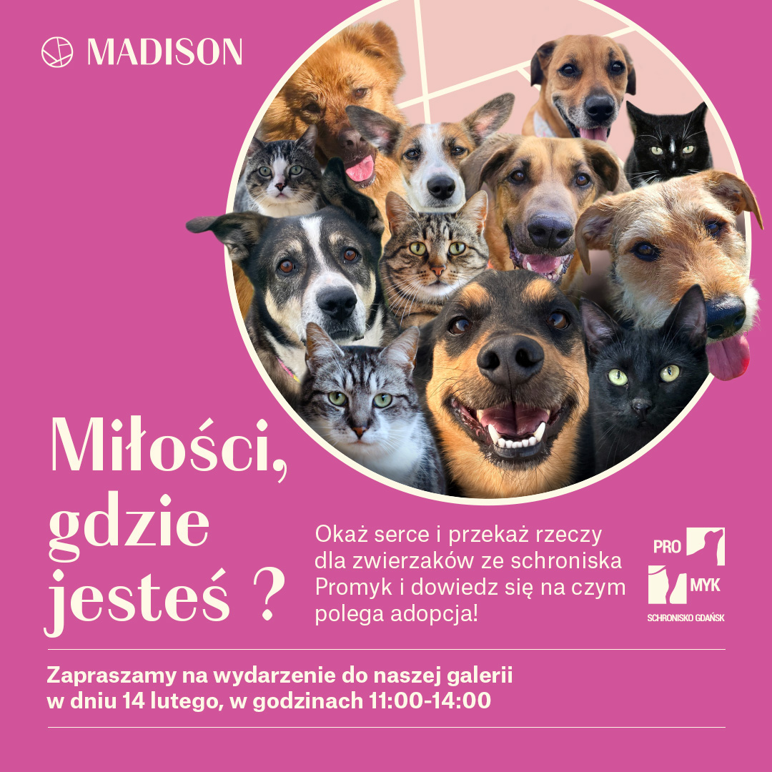 walentynki_23012026_1080x1080