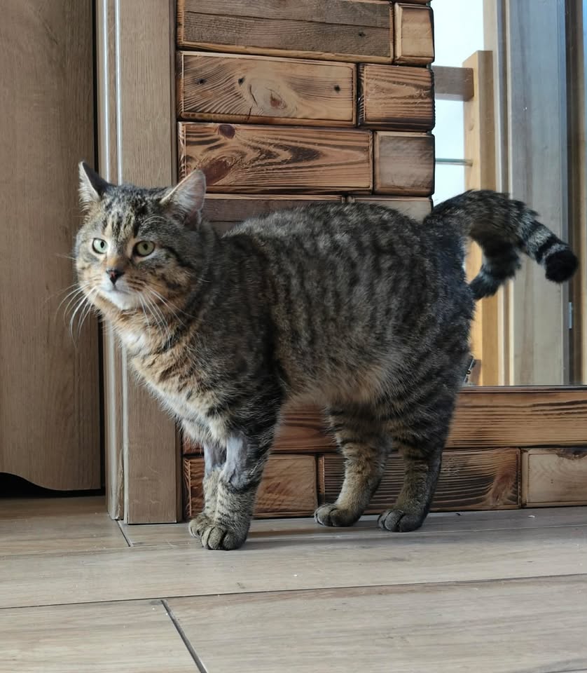 655124618_2035093167890187_4382945036707274695_n