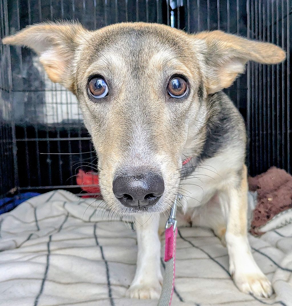 8e368c74-410a-438f-9c90-c0224865a58e~1