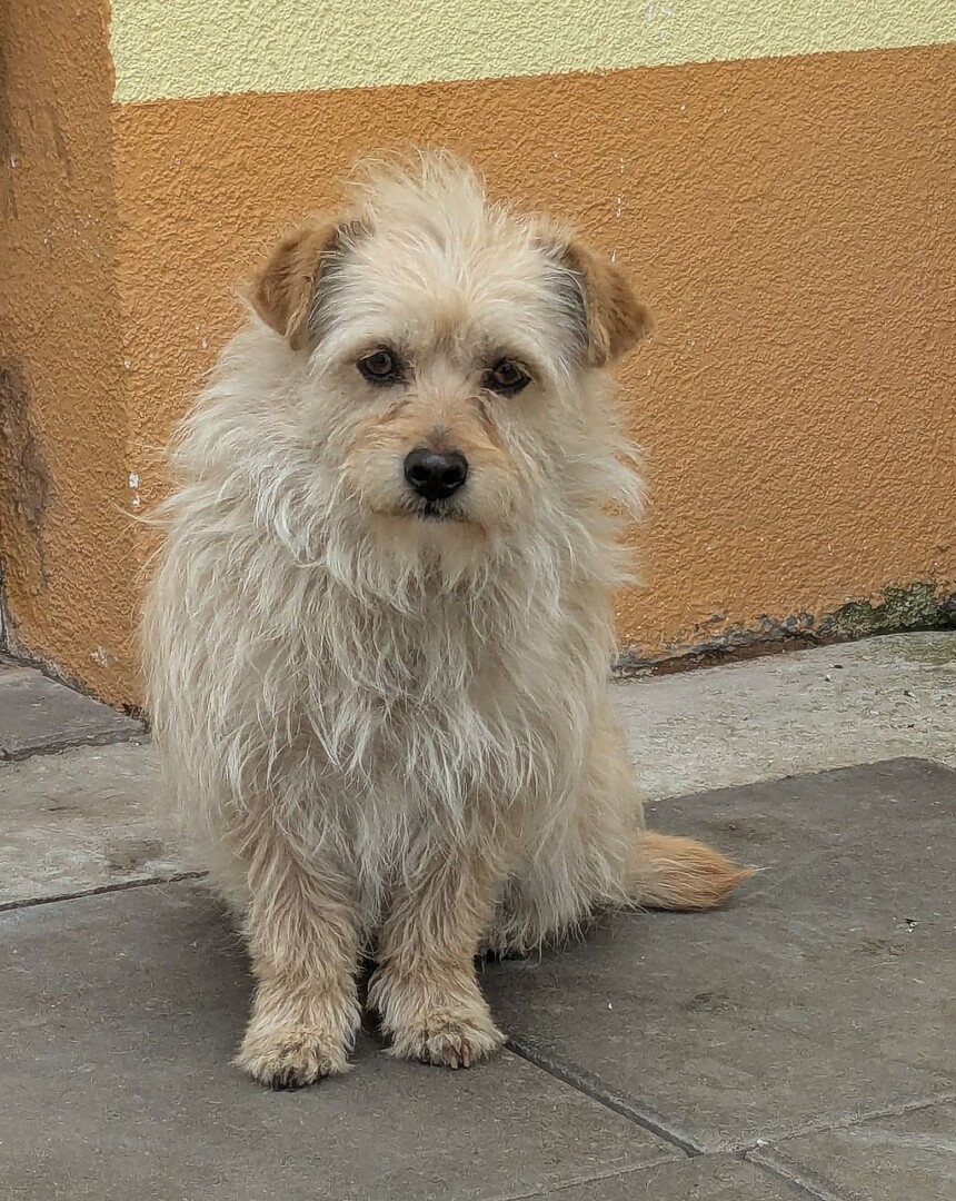 2b87f20d-db83-4c54-bd47-315613c6110e~1