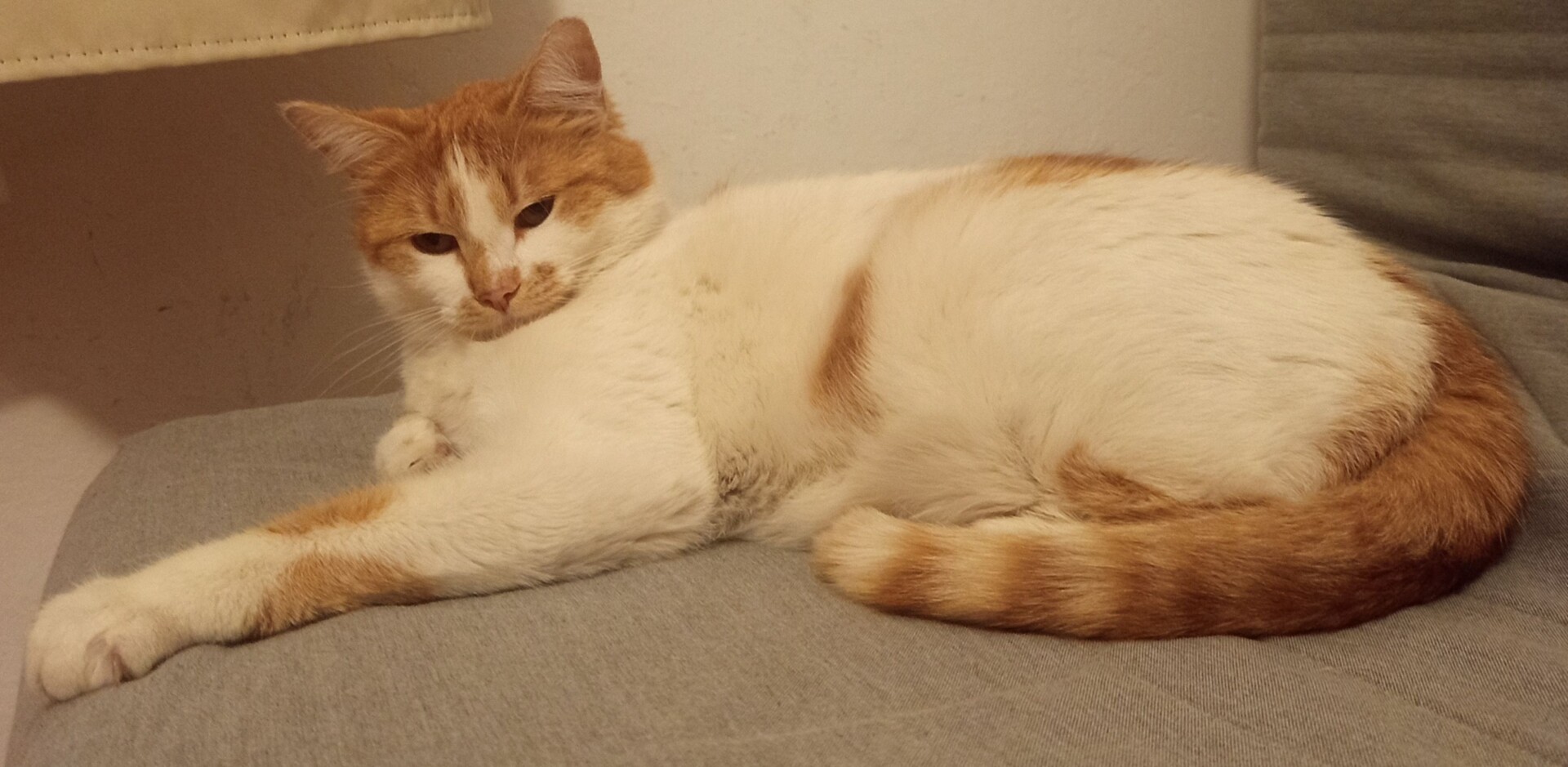 IMG_20260404_200103[1]