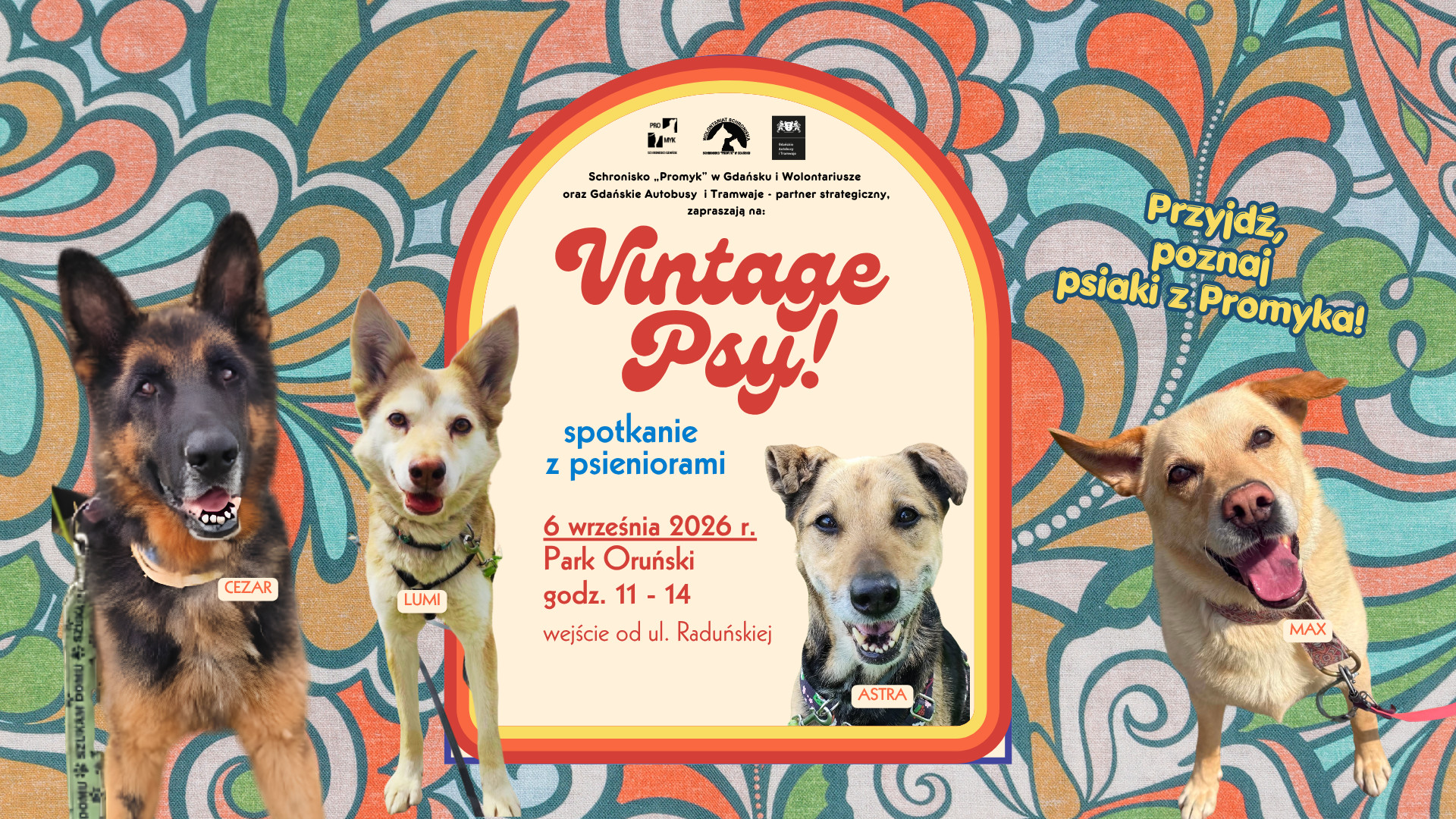 Vintage Psy!2026 tło wydarzenia