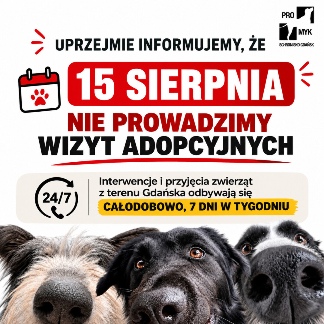 info 15 sierpnia