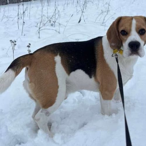 14bb00d2521758ebd8d3ac77a2422226