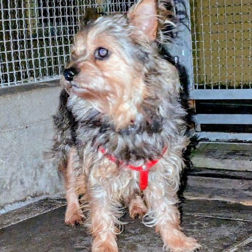 28382f5d-9203-43e4-bad5-f414523eab76~1