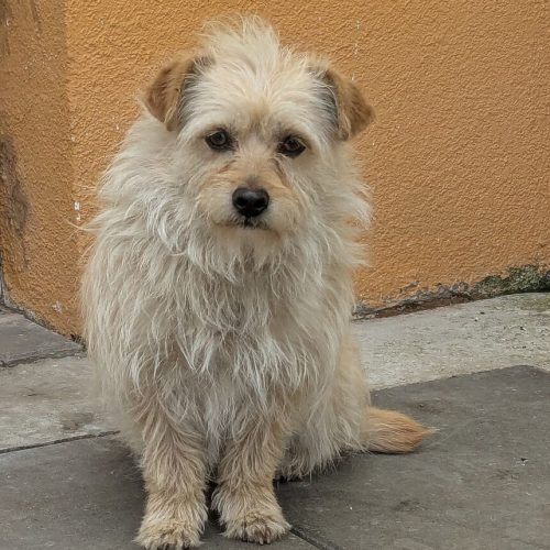 2b87f20d-db83-4c54-bd47-315613c6110e~1