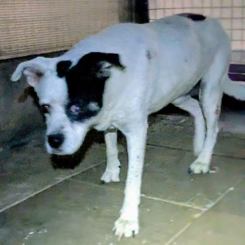 2f21a241-fc2f-435a-b271-87d476fc1585~1