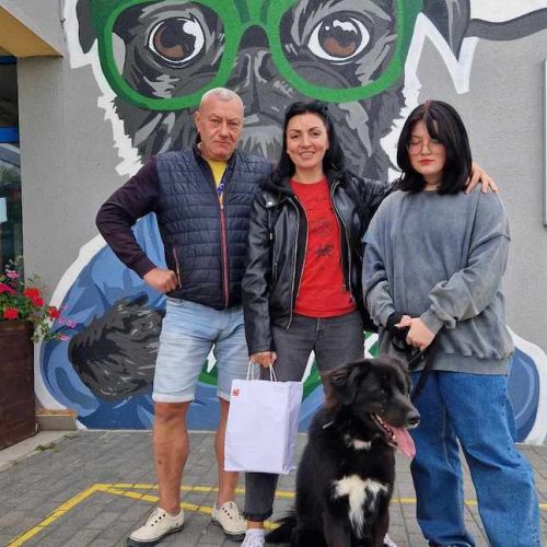 czarny pies, ludzie kolorowa ściana, adopcja