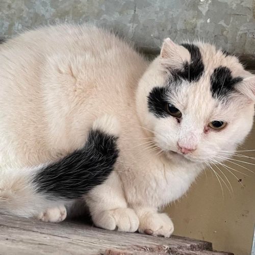 487825884_658741587014328_7368181142855461960_n