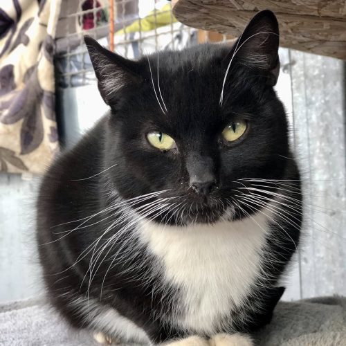 489447553_662612953293858_426101982846851034_n