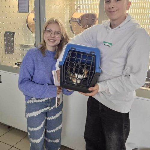 557625390_1201000835386947_5597585638391262909_n