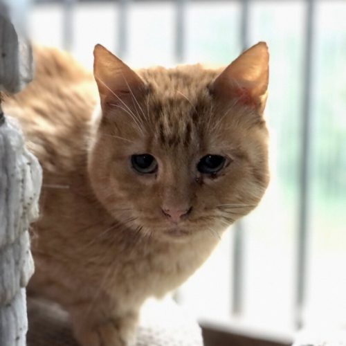 584680452_846709494884202_1472407265675945323_n