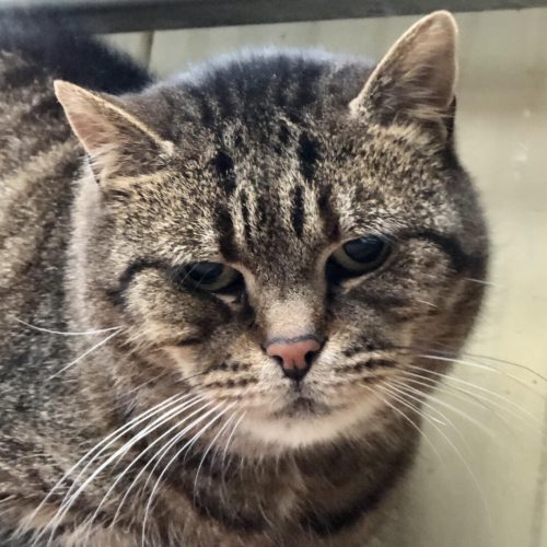 585700216_847561978132287_9113778361195210853_n