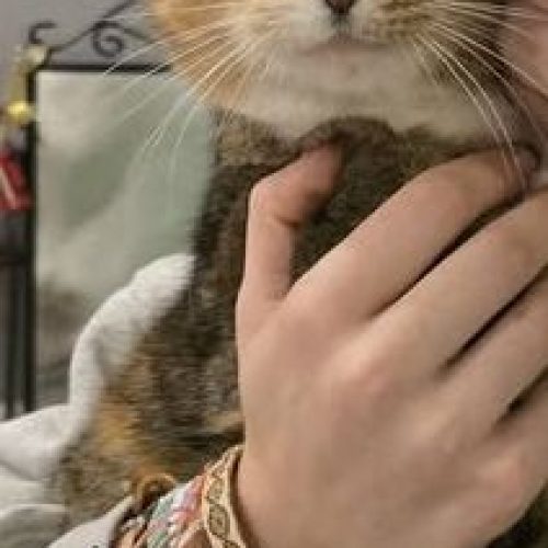 591735450_24937157399317079_5079386045284018393_n