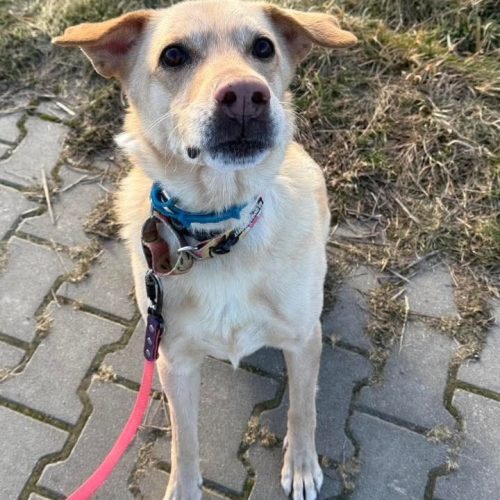 610886529_1330022922497891_985322895841903673_n