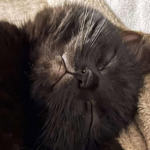 617607124_915343487721912_8021871854536084606_n