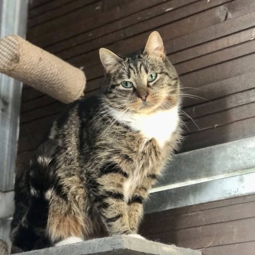 642764572_932862906268860_887352851981725147_n