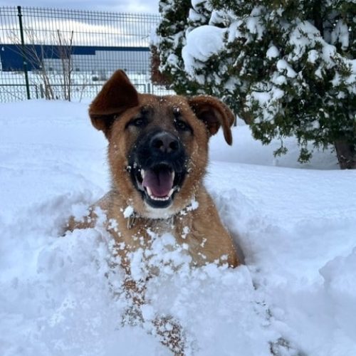 644730904_1379599610873555_2933387935949994686_n