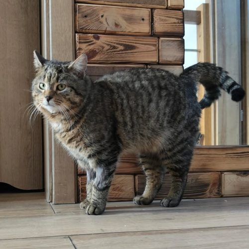 655124618_2035093167890187_4382945036707274695_n