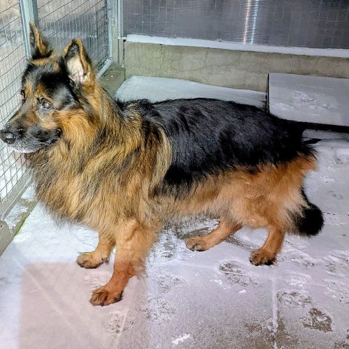 73ab3bfa-bbfb-4009-97a4-8e880660490a~1