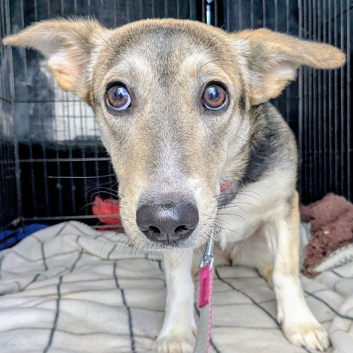 8e368c74-410a-438f-9c90-c0224865a58e~1