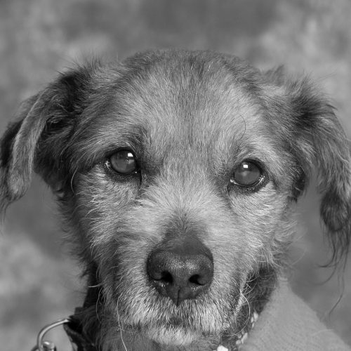 DSC_1406-Edit
