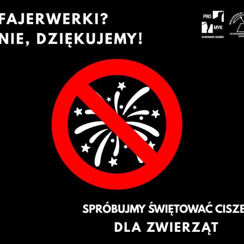 FAJERWERKI-4