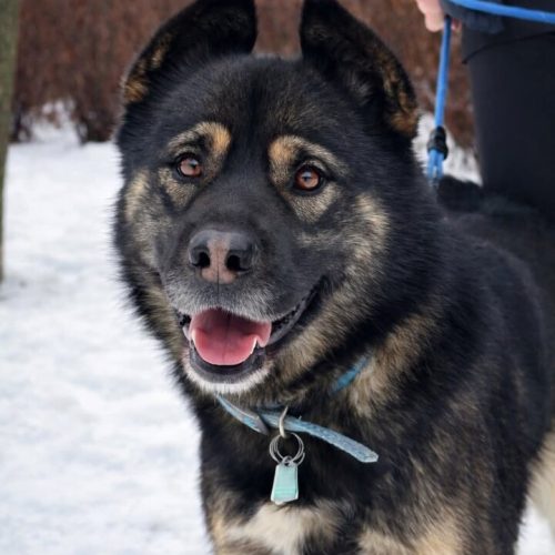 FB_IMG_1769685648274