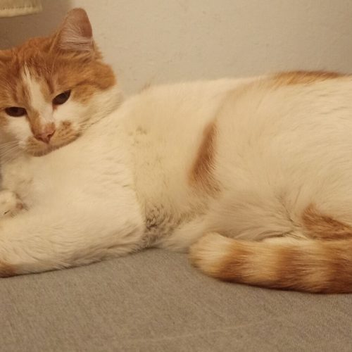 IMG_20260404_200103[1]