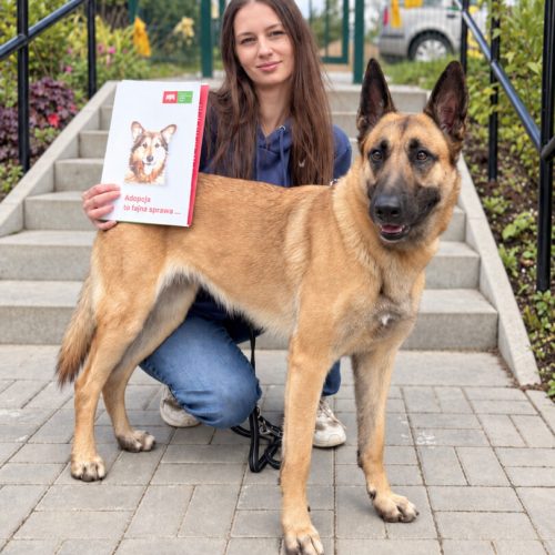 Kira adopcja 21.09.26