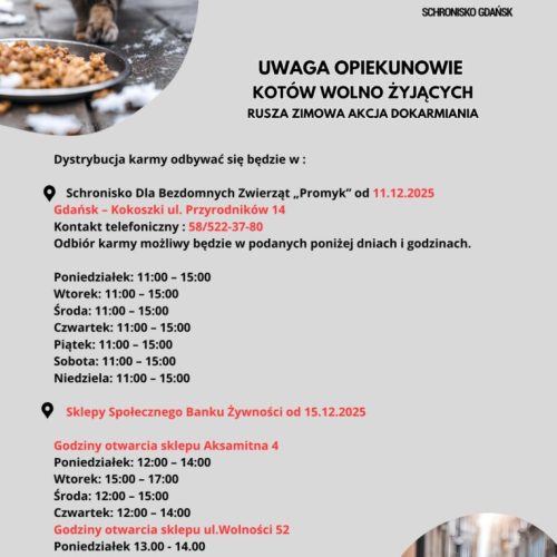 Messenger_creation_C5E421B1-FB2D-49C4-BFDB-C6ECE1CE5A54