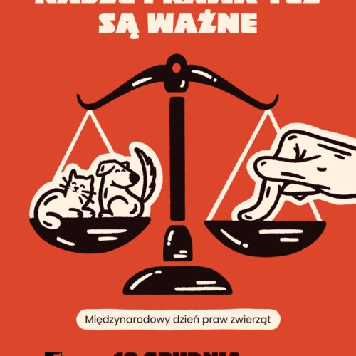 Międzynarodowy dzień praw zwierząt - Promyk_1
