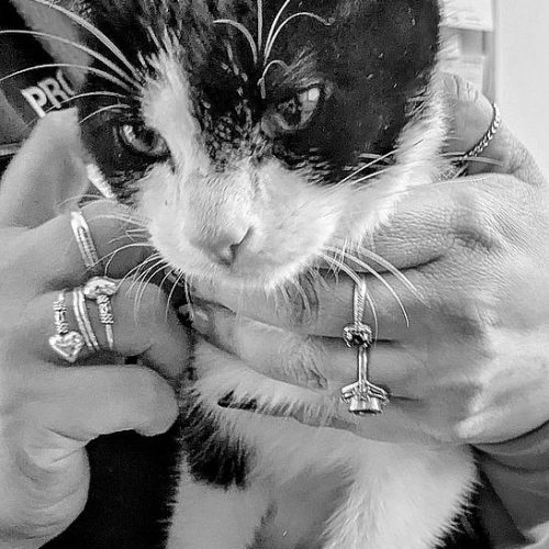 PXL_20251017_1005255952