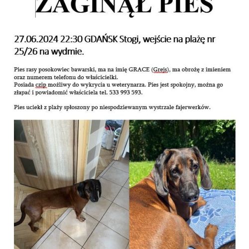 Przechwytywanie